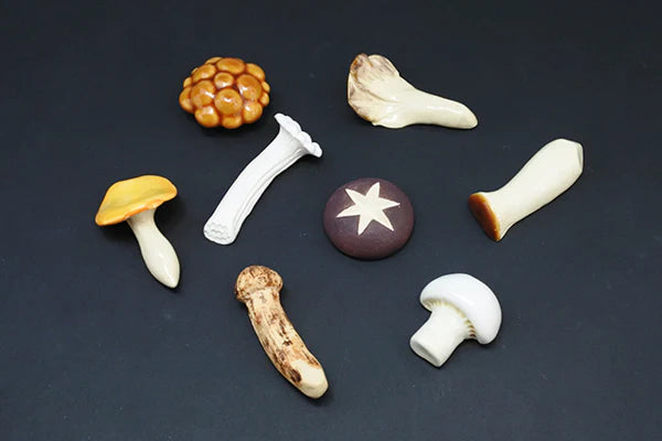 COMING SOON: Mushroom Collection